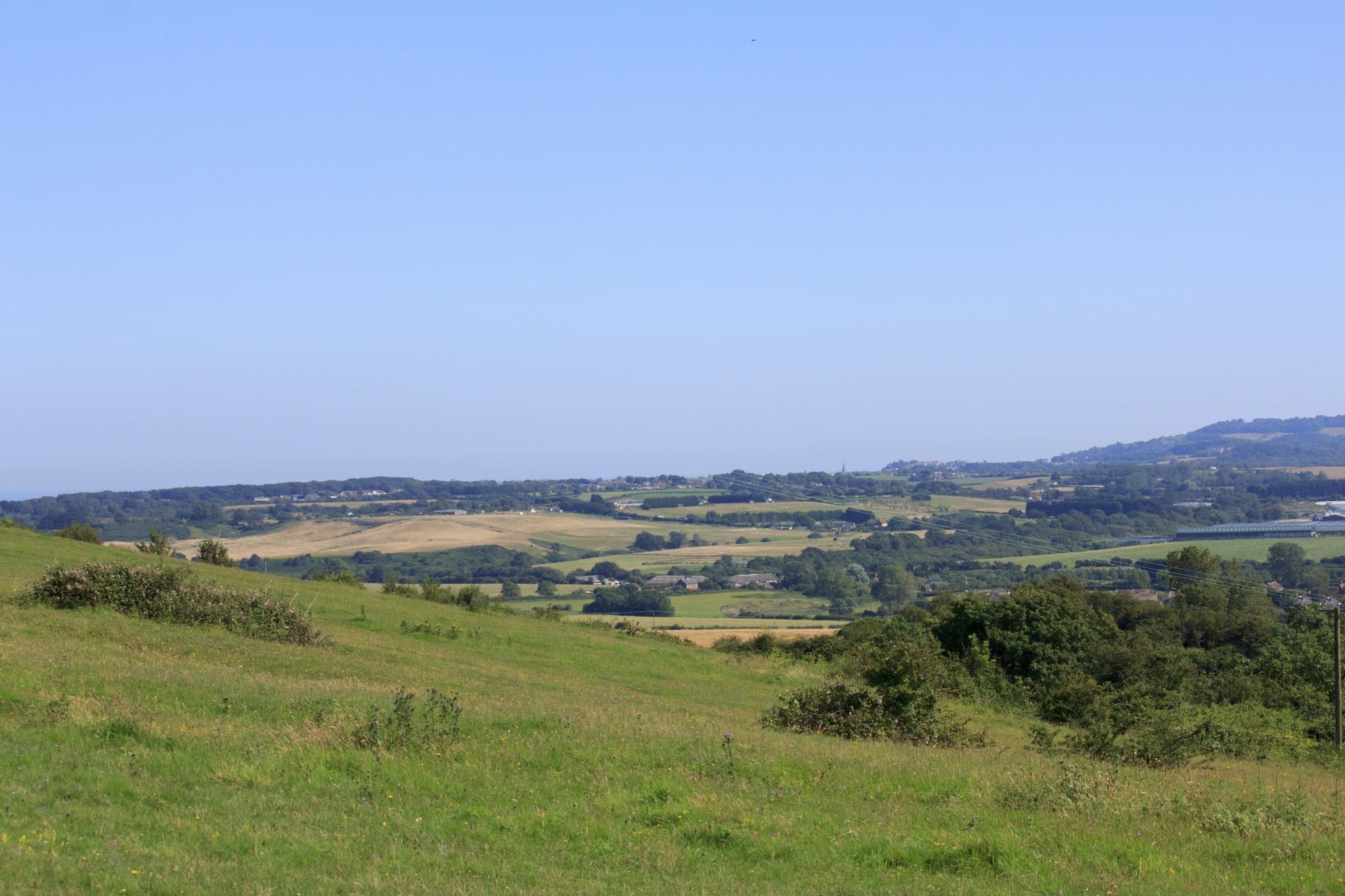Arreton Down Wildlife Reserve