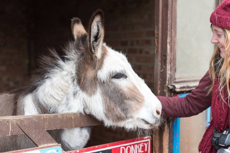 Newham City Farm - Photo