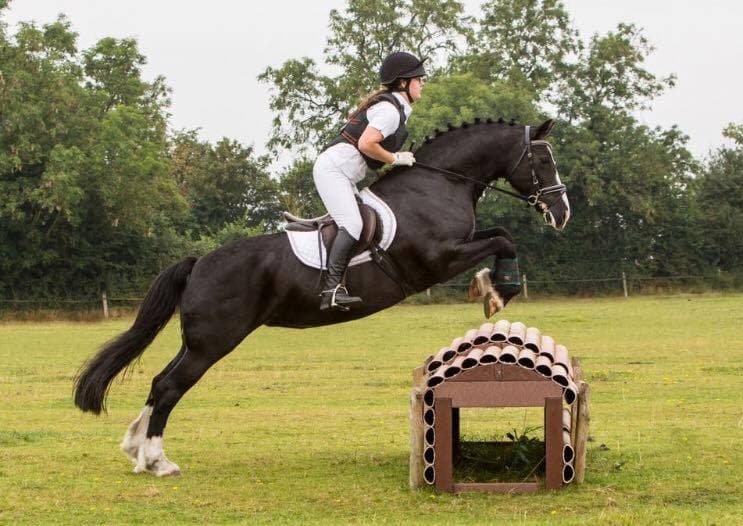 Witham Villa Riding Centre - Photo 1