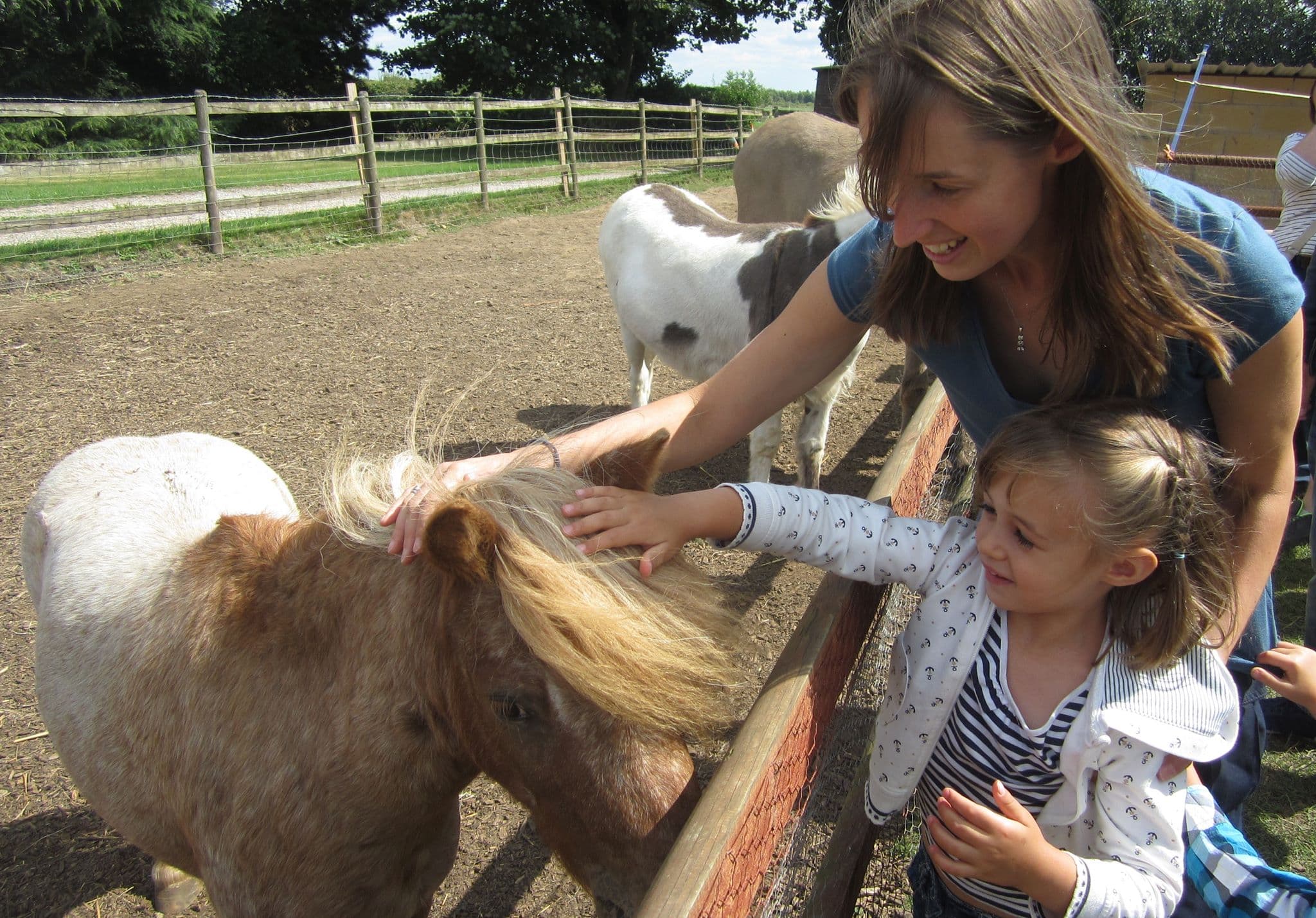 Boston Park Farm - Photo