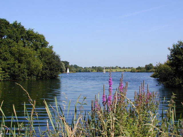 Dinton Activity Centre - Photo 1