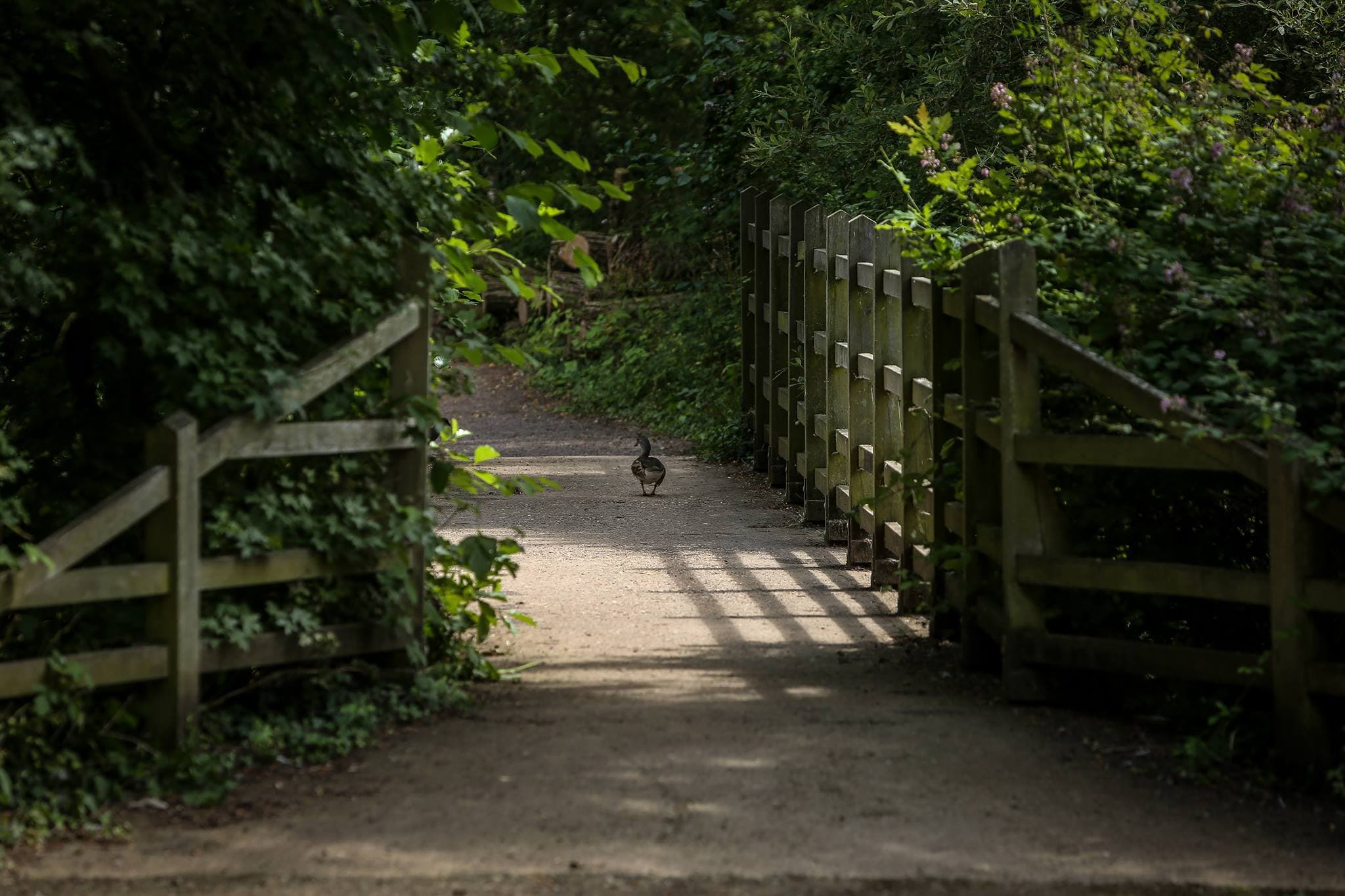 Barnwell Country Park