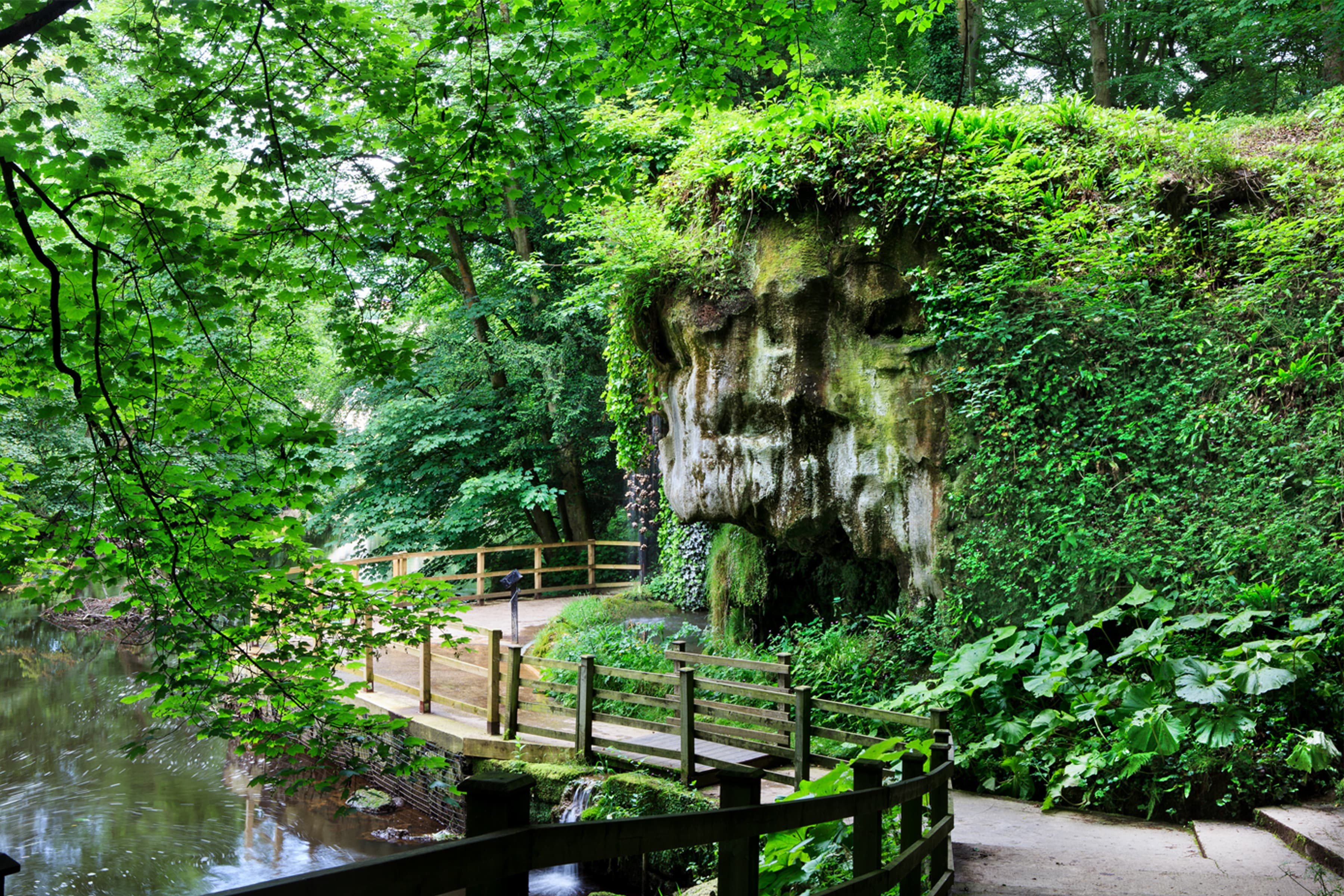 Mother Shipton's Cave