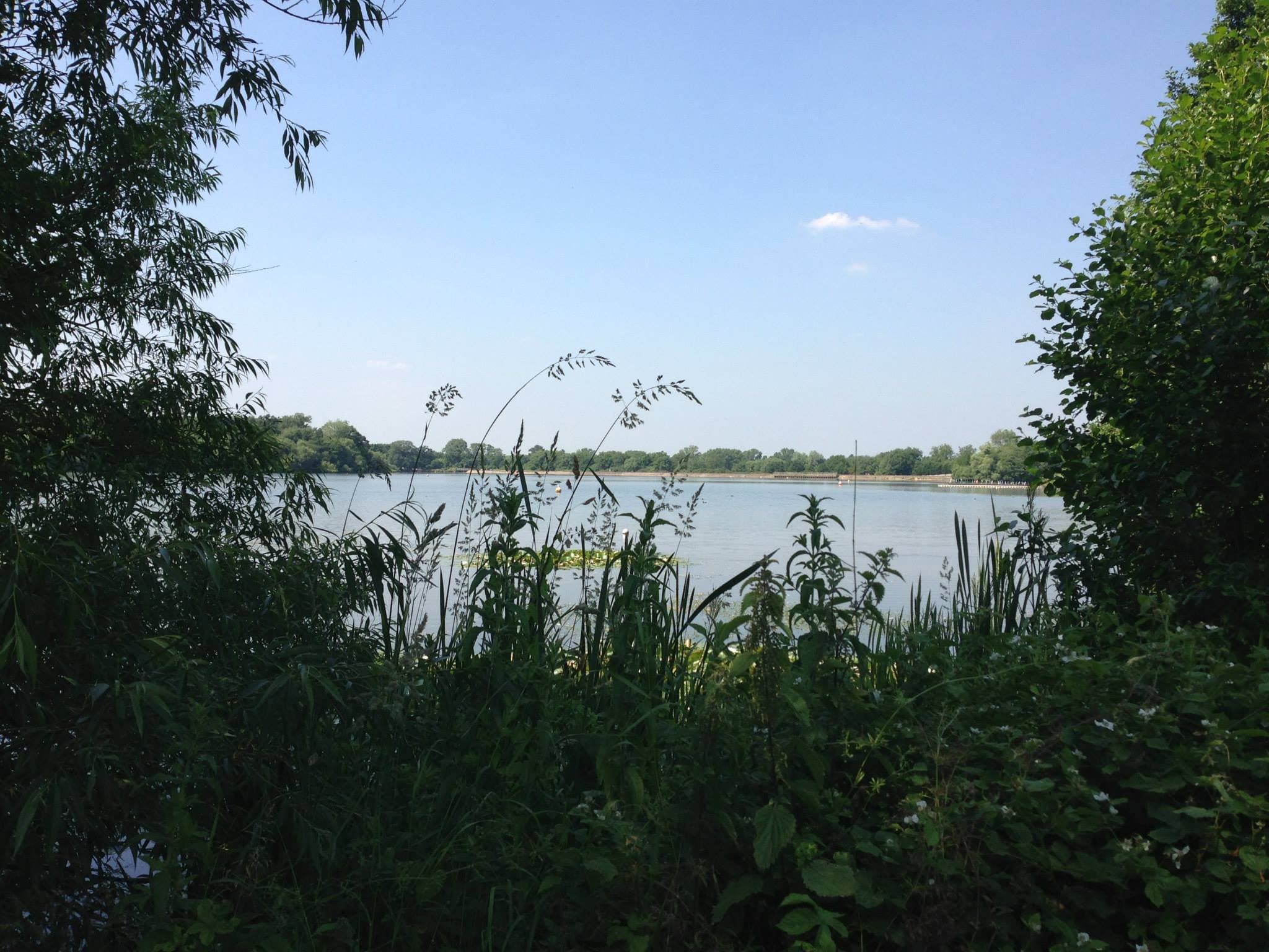 Aldenham Country Park - Photo