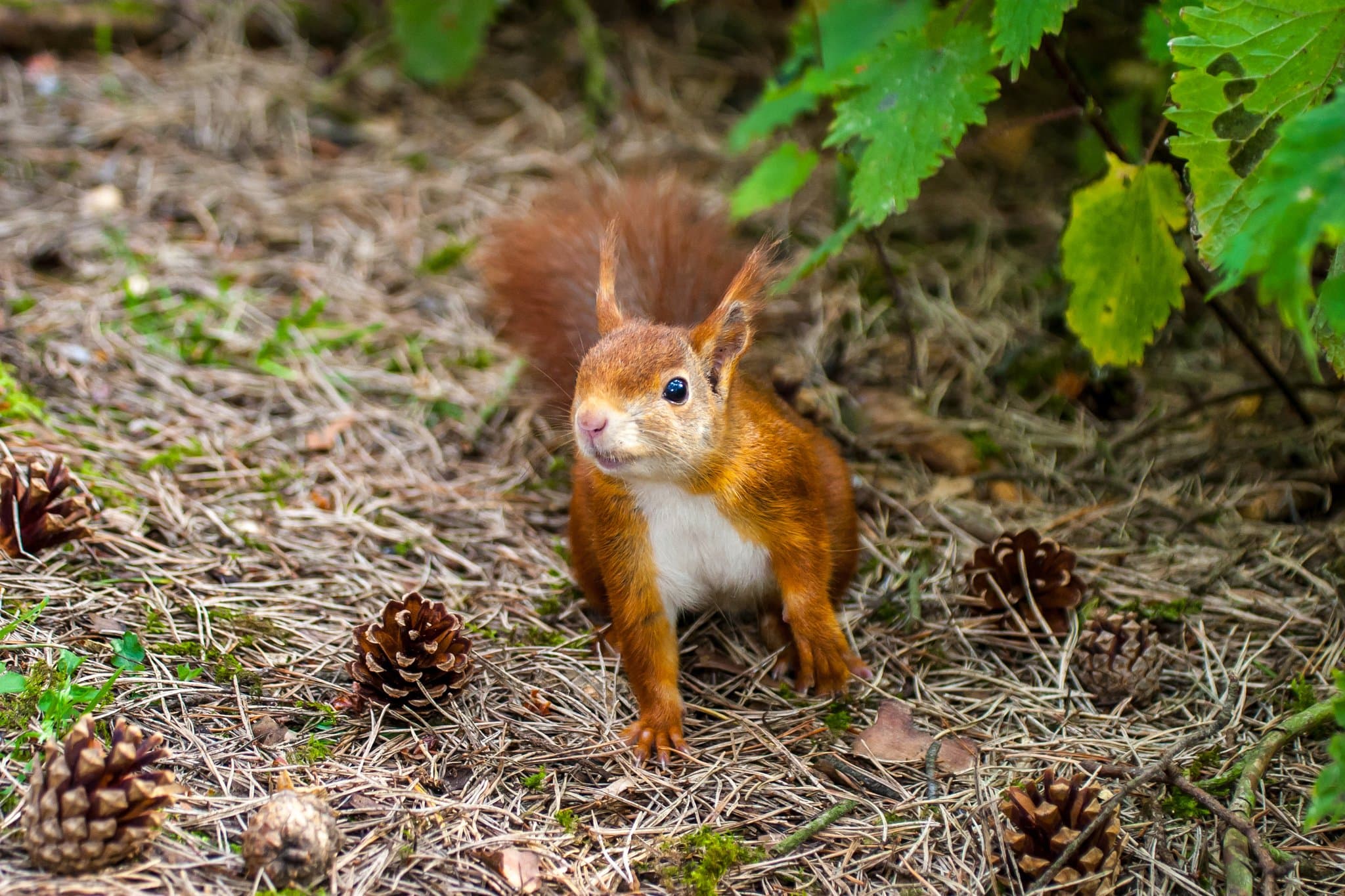 Formby Nature Reserve - Photo 1