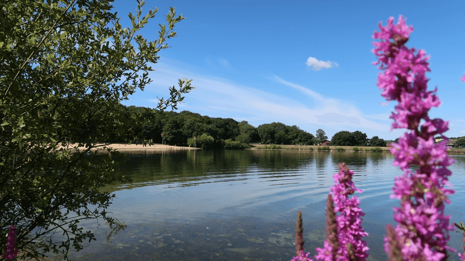 Ruislip Lido London - Photo