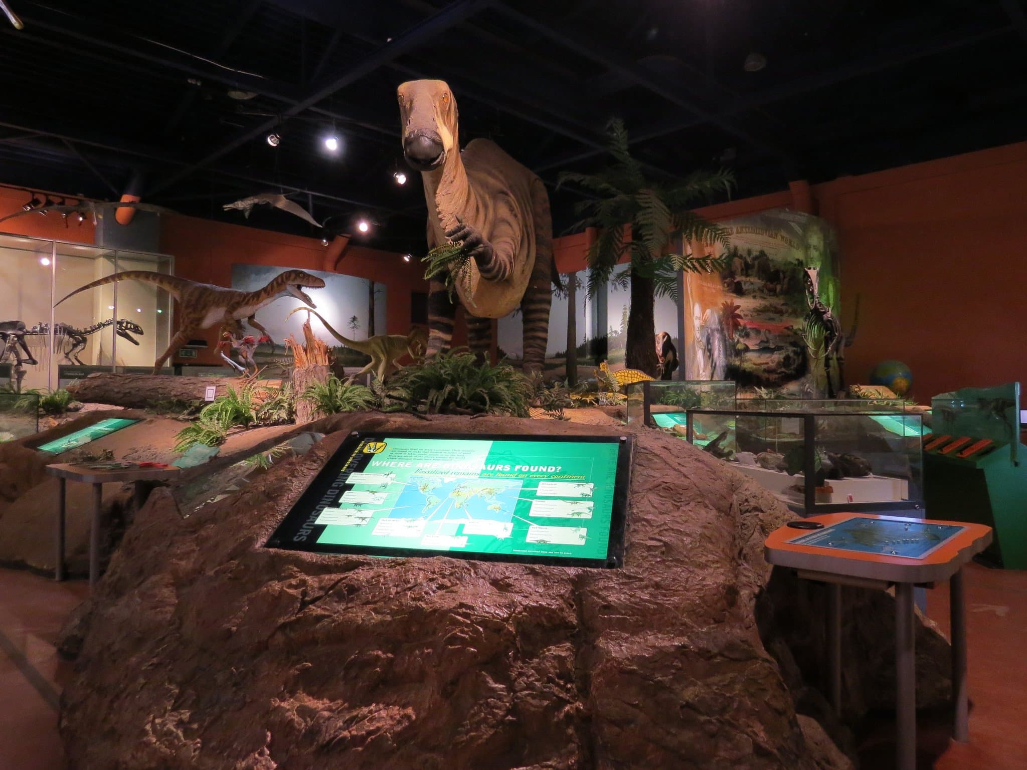 Dinosaur Isle - Photo