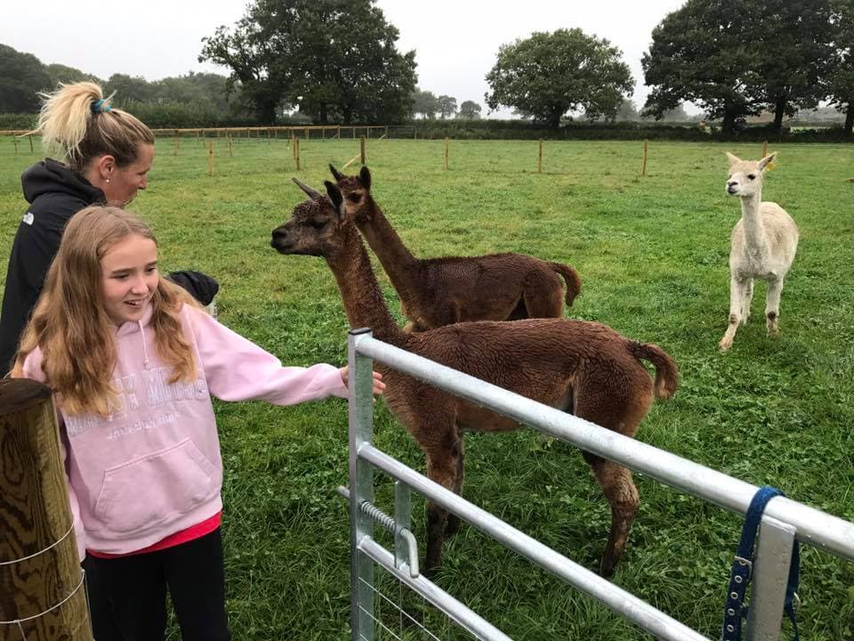 Attwell Farm Park Redditch - Photo