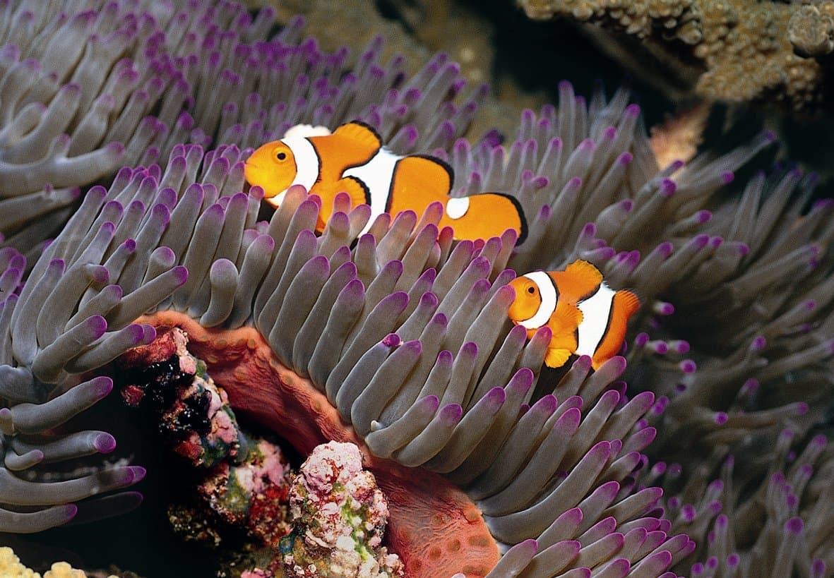 Hastings Aquarium