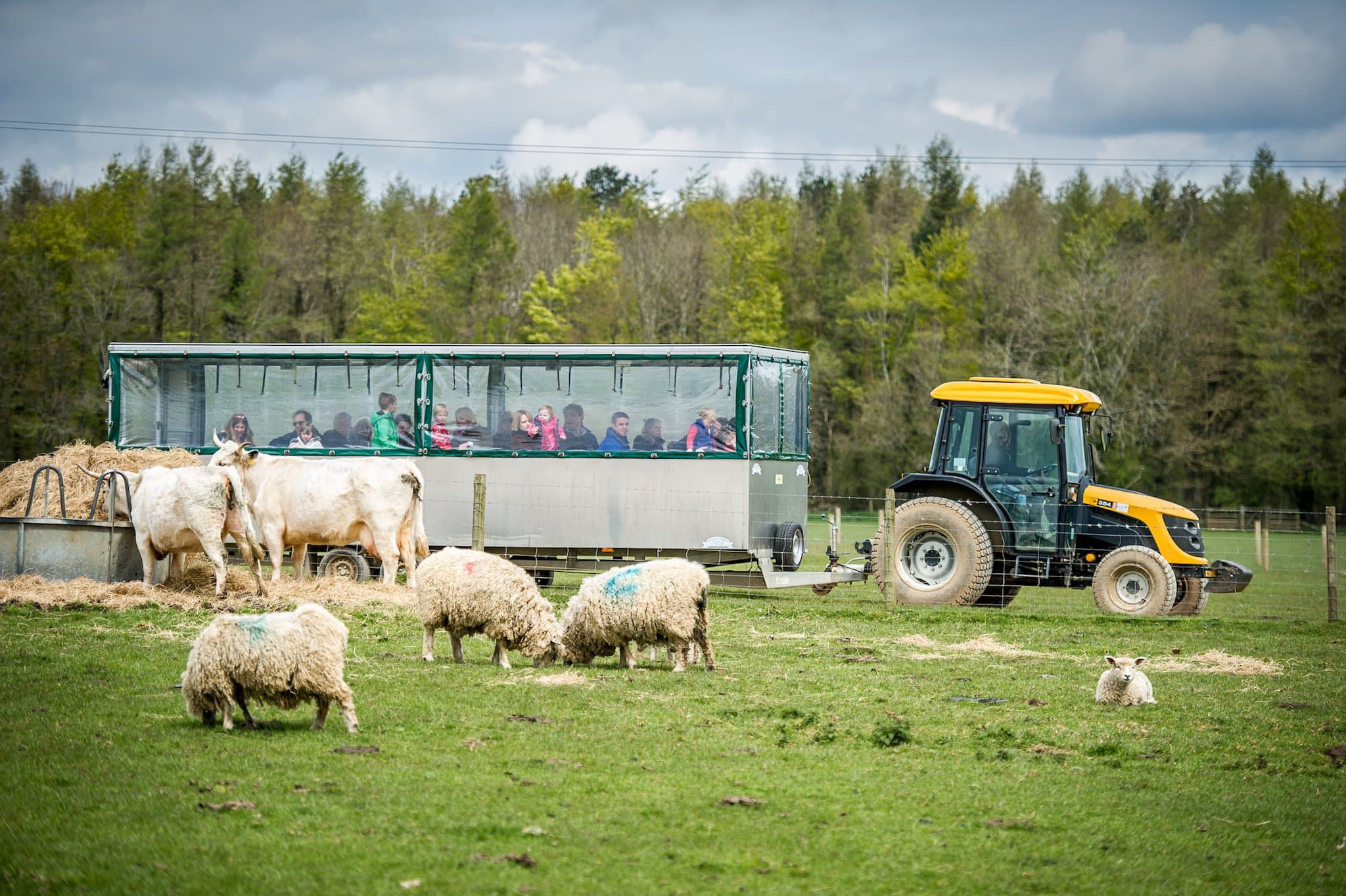 Cotswold Farm Park - Photo