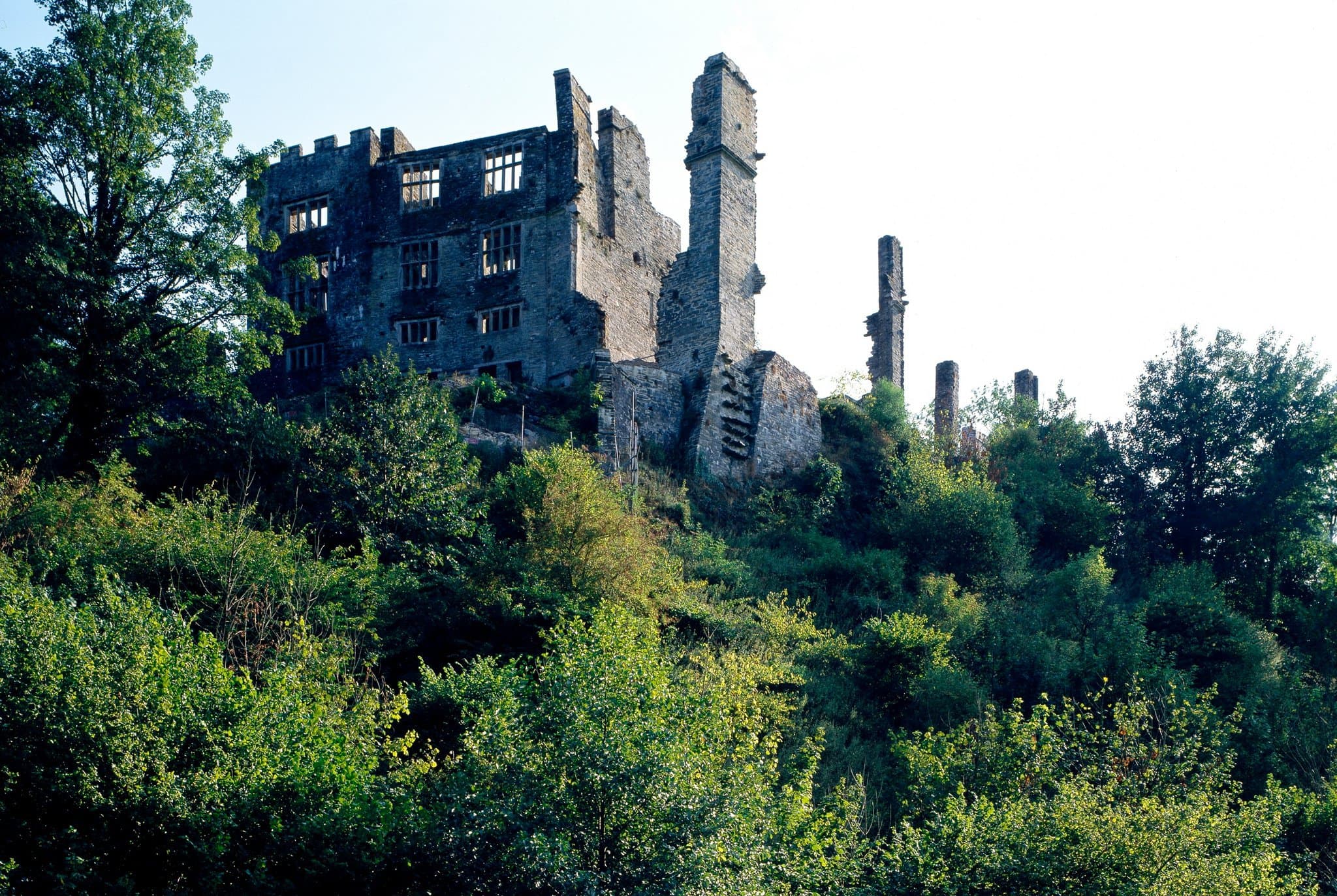 Berry Pomeroy Castle