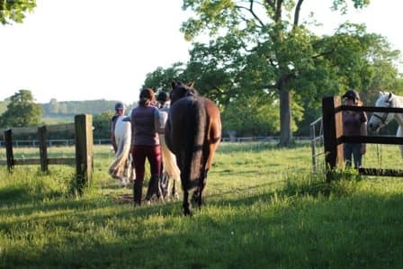 Barrow Hall Stables - Photo