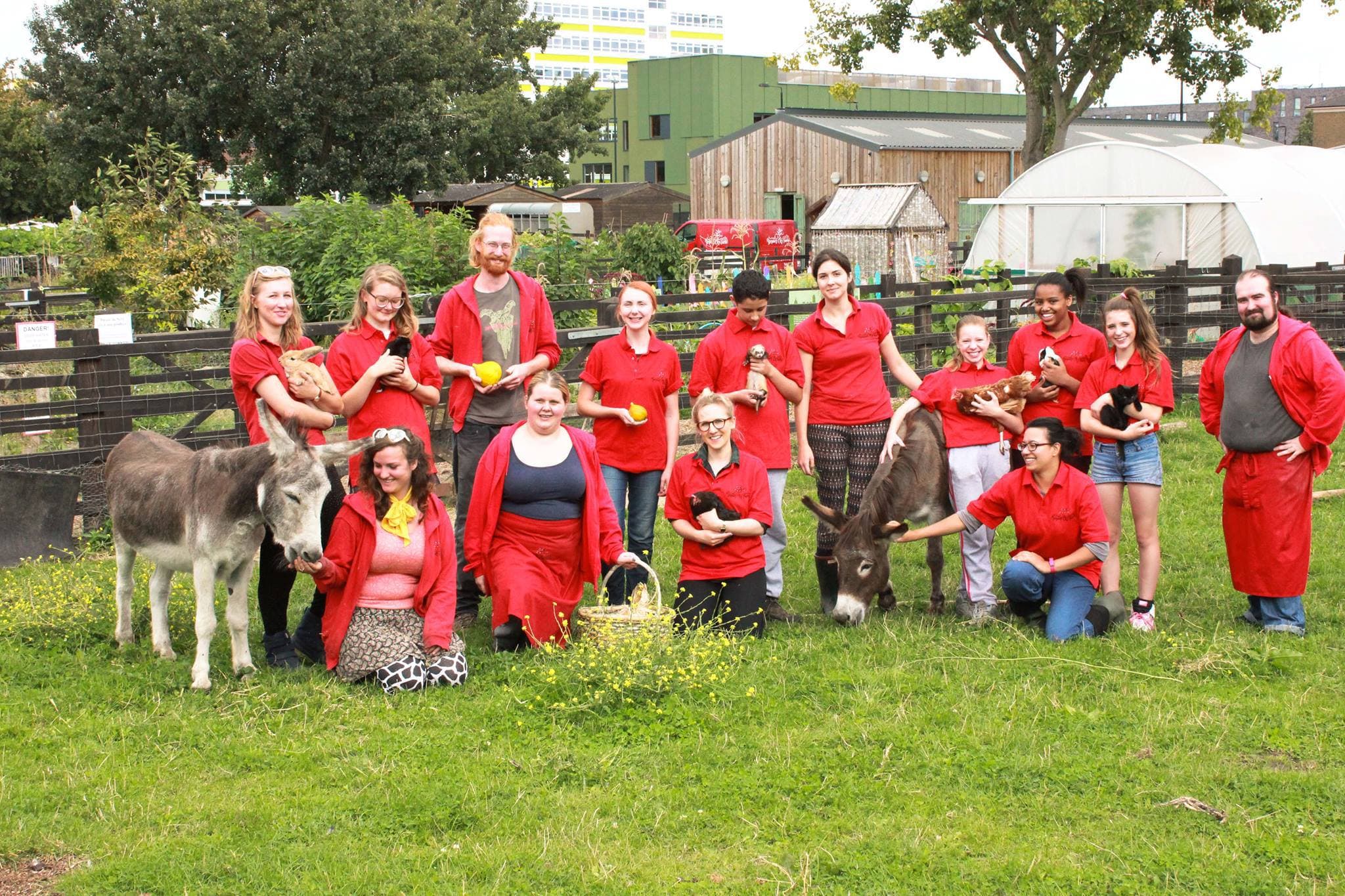 Stepney City Farm