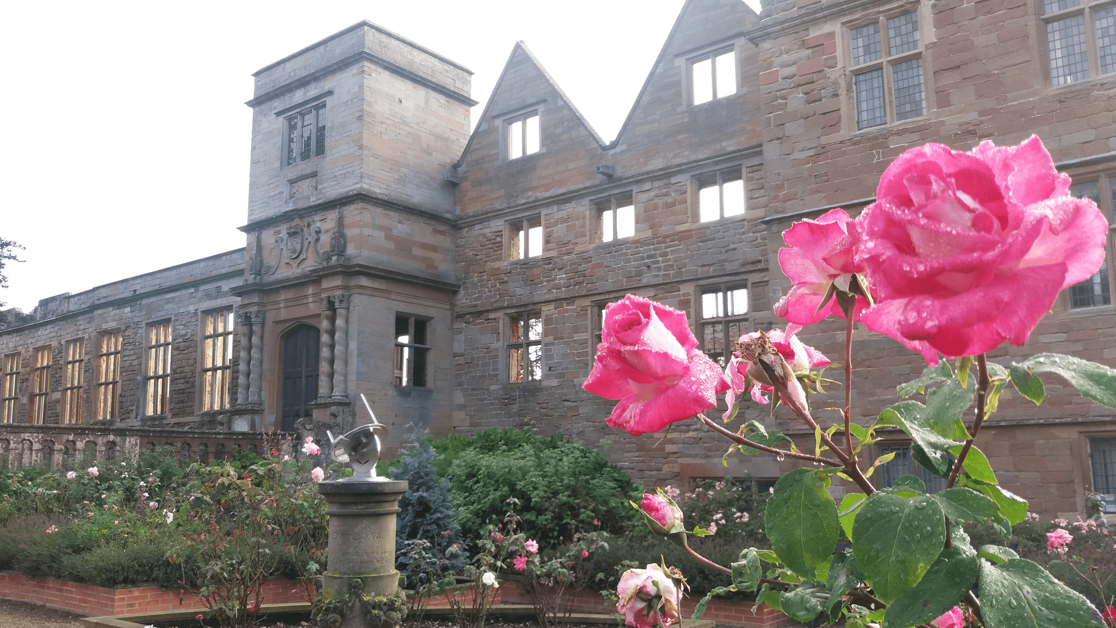 Rufford Abbey Country Park - Photo