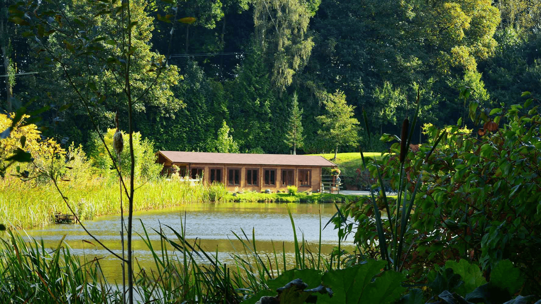 Bodenham Arboretum - Photo 1