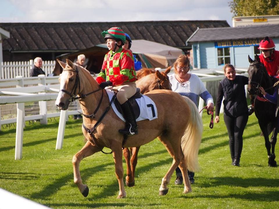 Croxteth Park Riding Centre