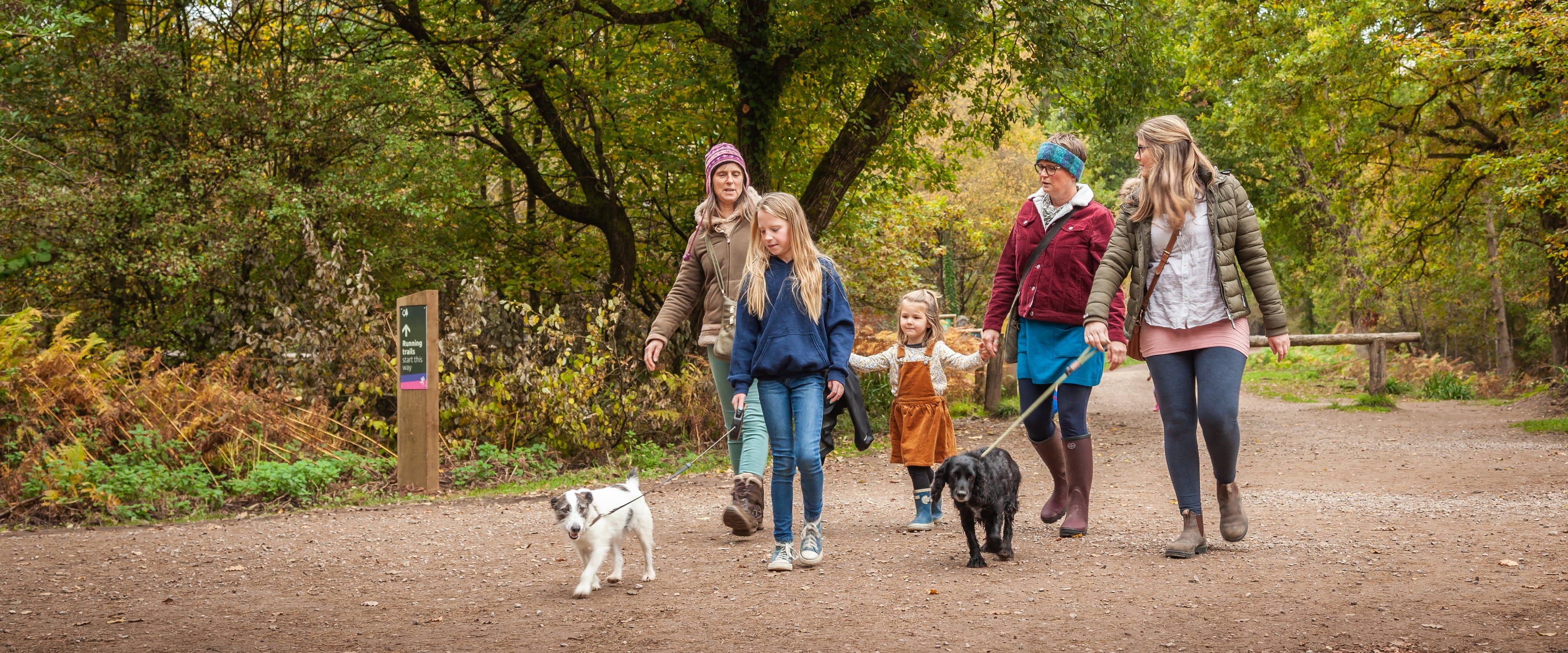 Wyre Forest Discovery Centre - Photo