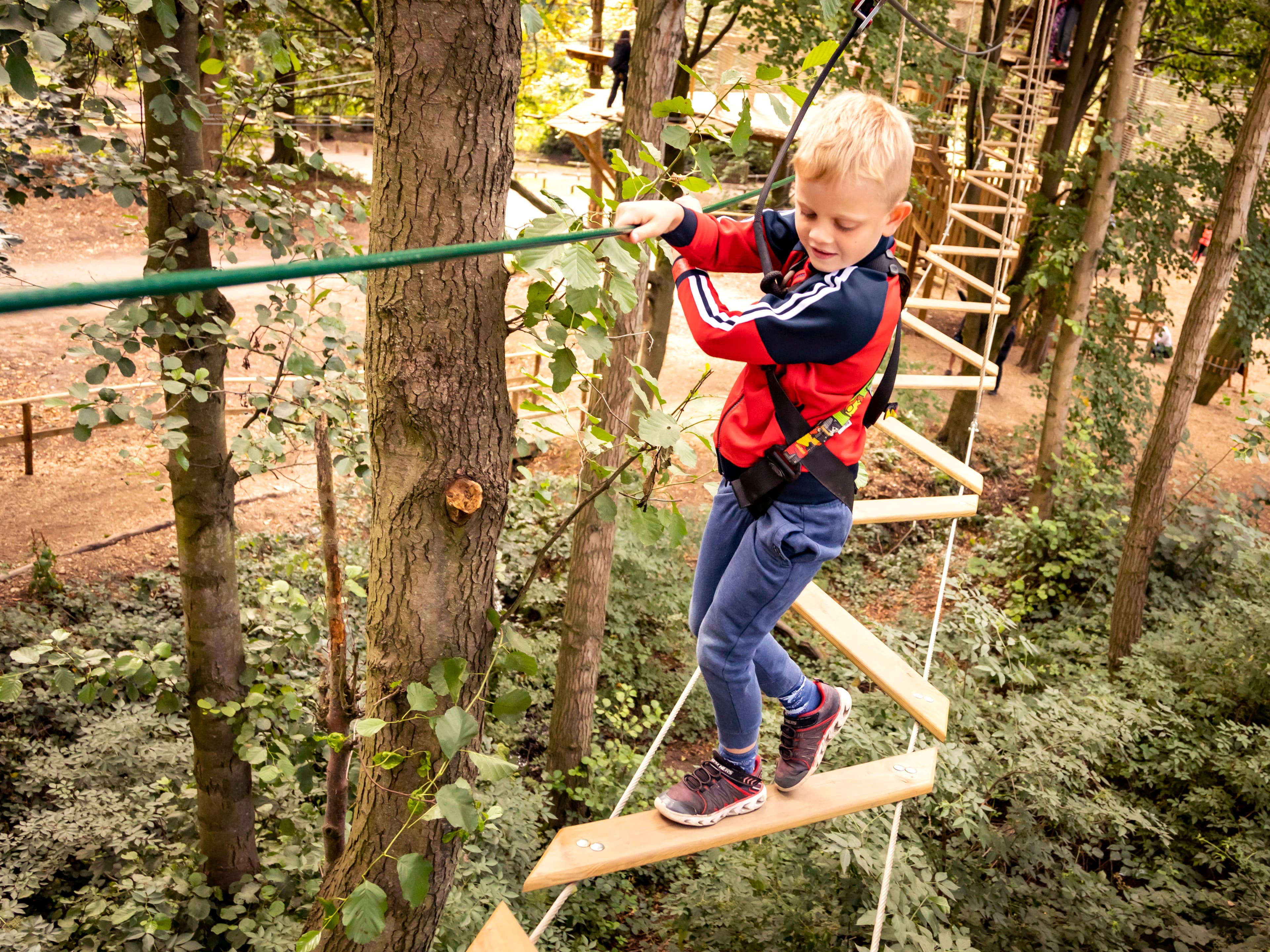 Go Ape Southampton