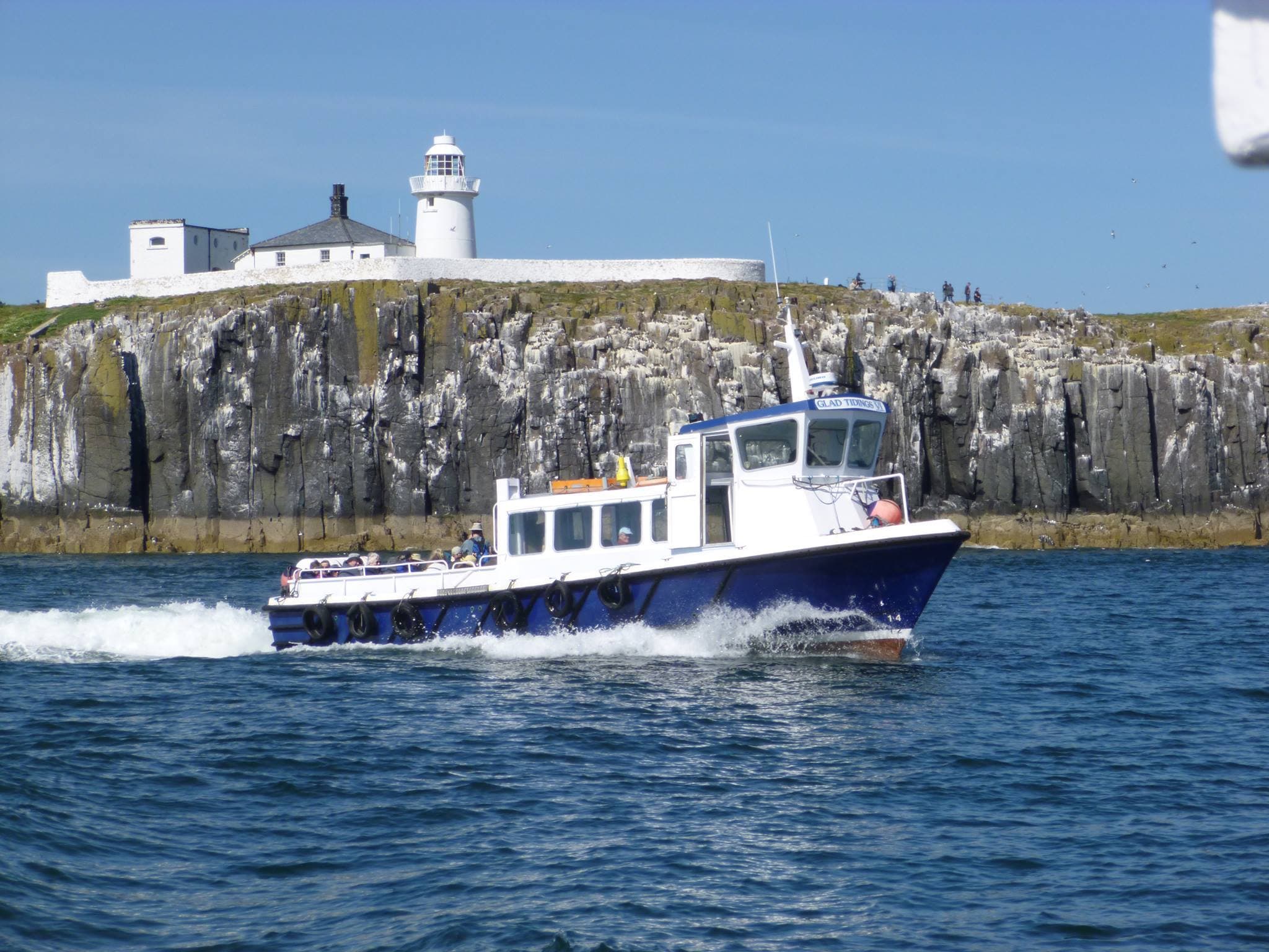 Farne Islands