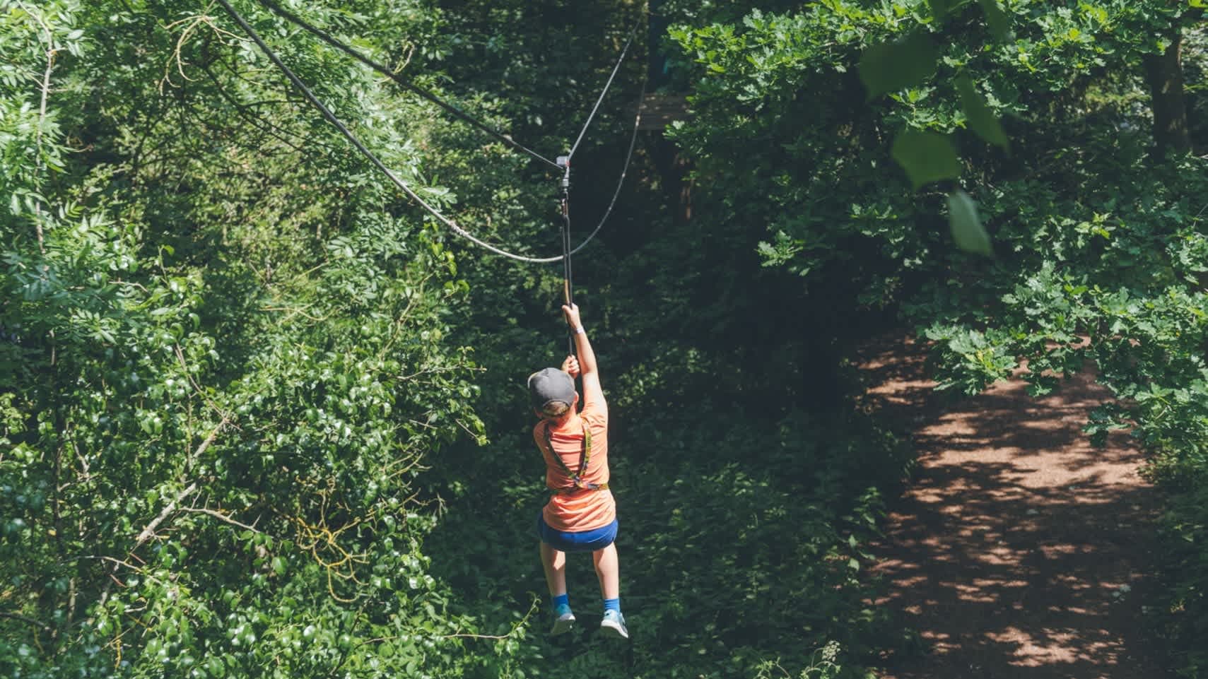 Wild Wood Adventure