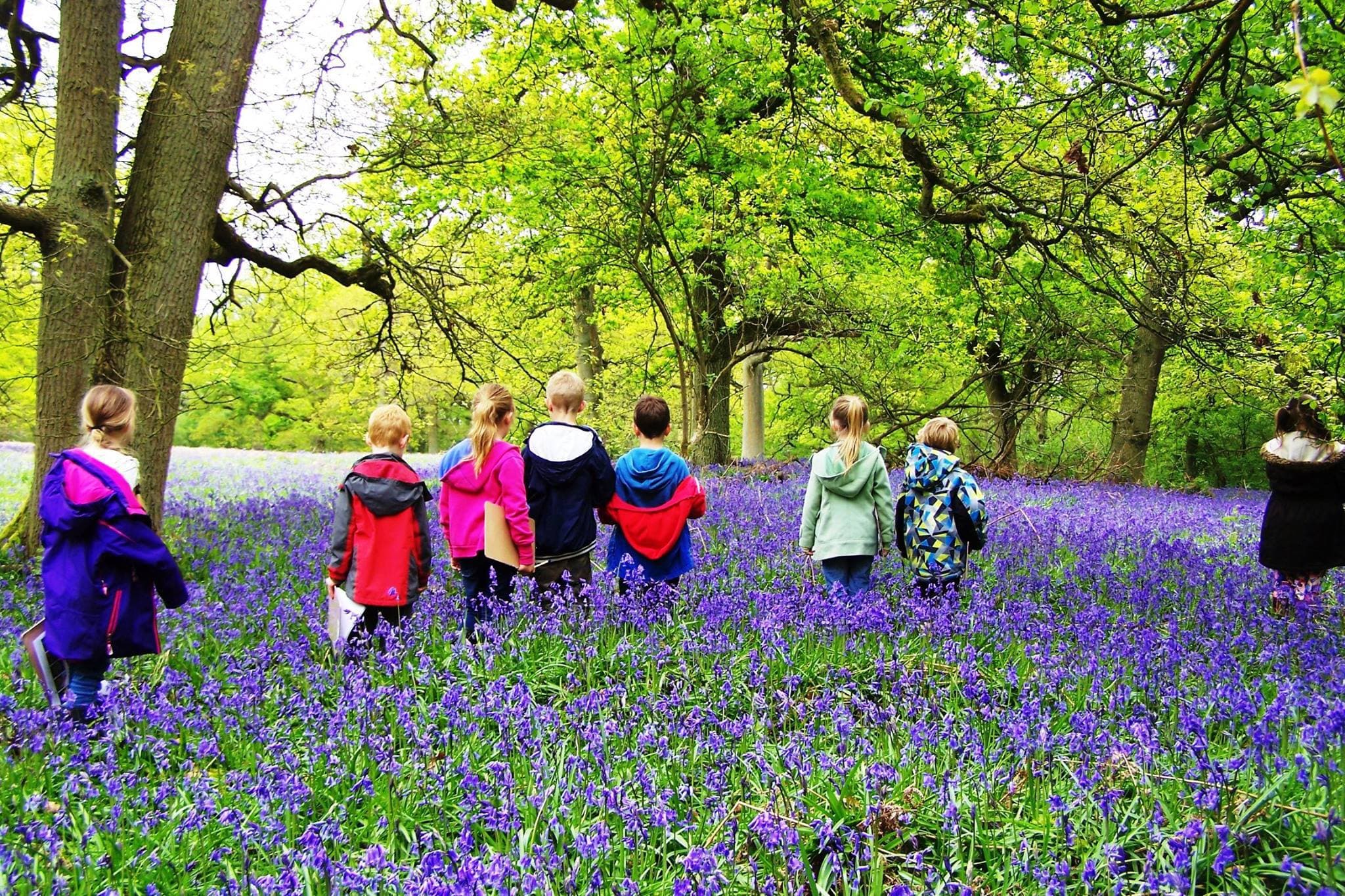 Ryton Pools Country Park - Photo