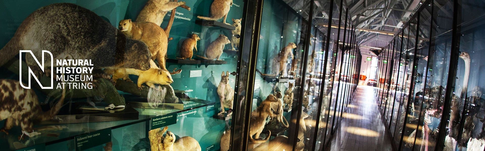 Natural History Museum at Tring