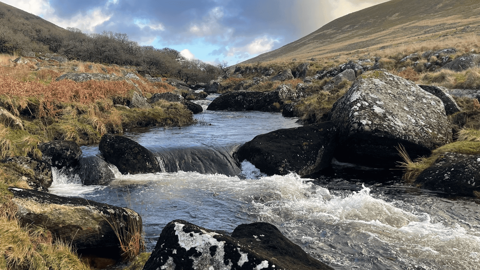 Dartmoor National Park - Photo