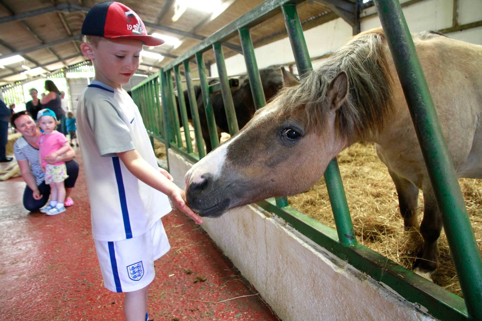 Fantasy Farm Park - Photo 1