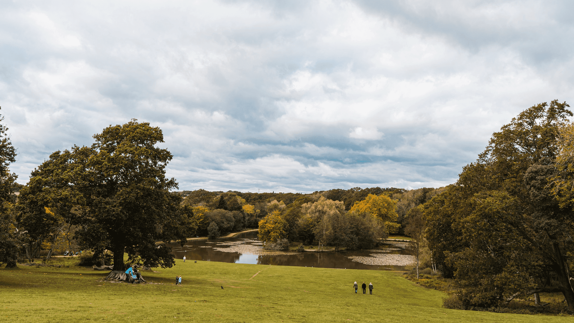 Staunton Country Park - Photo 1