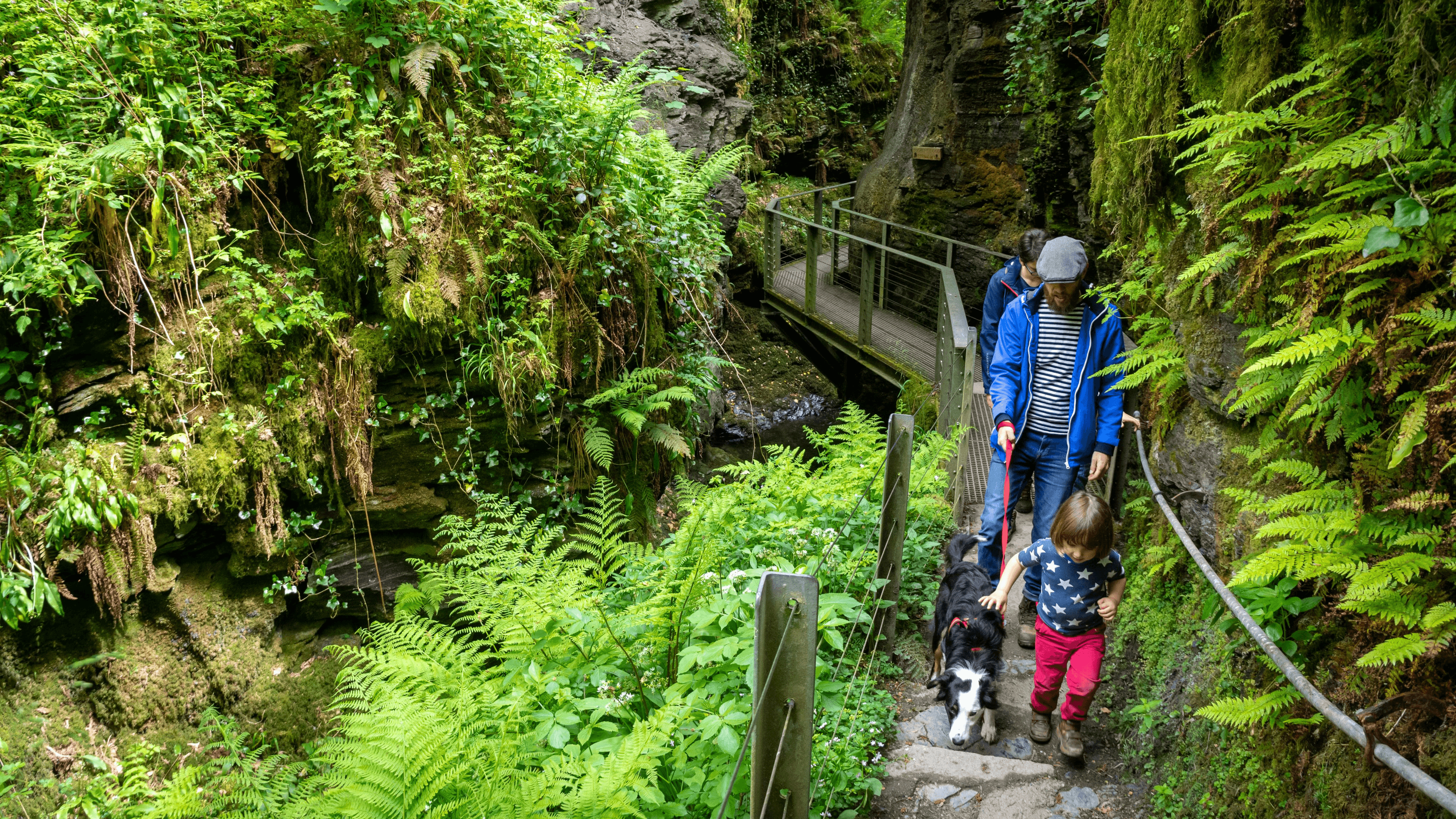 Lydford Gorge