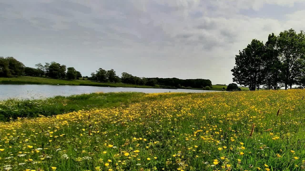 Sywell Country Park - Photo