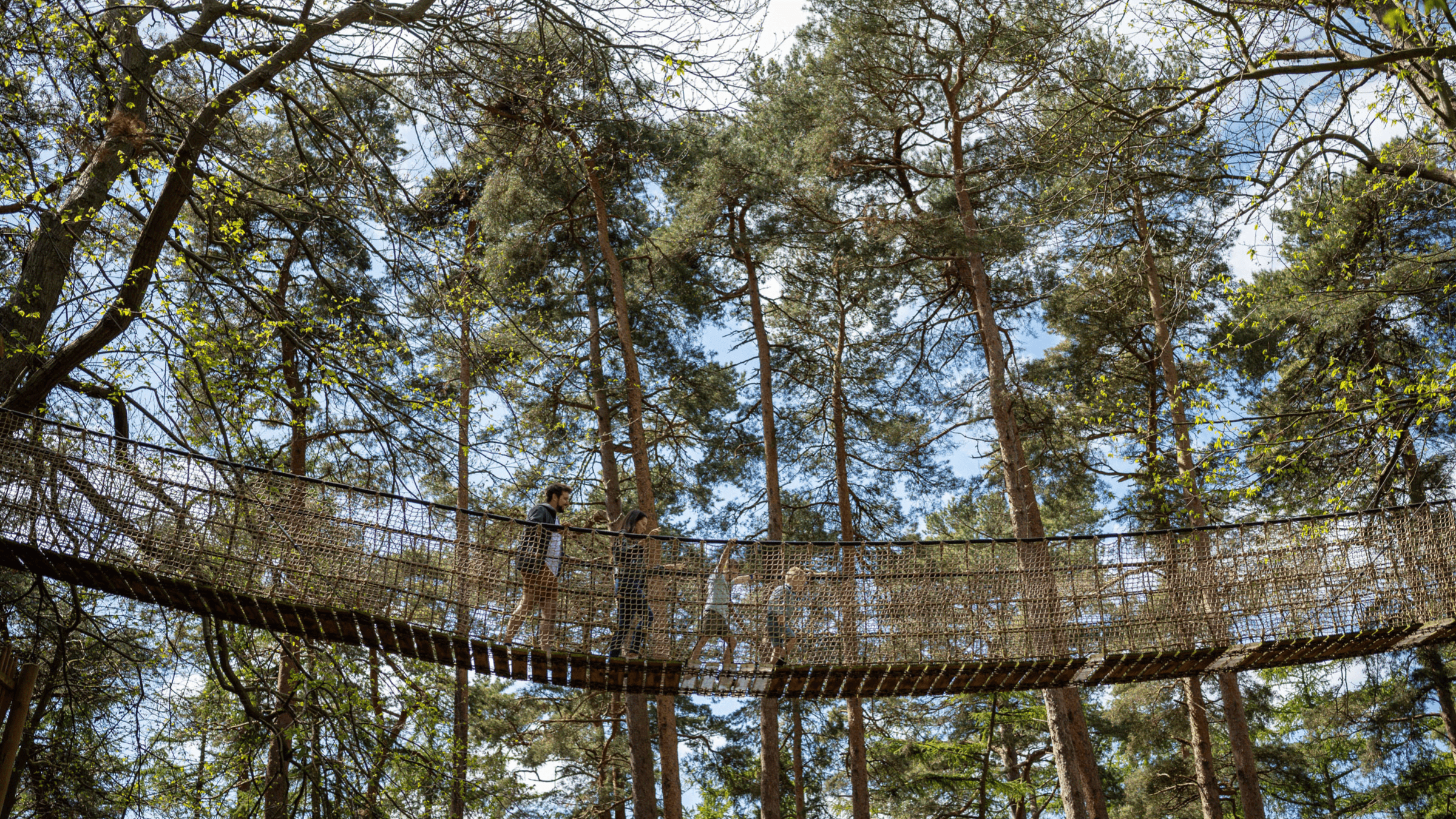 BeWILDerwood Norfolk - Photo