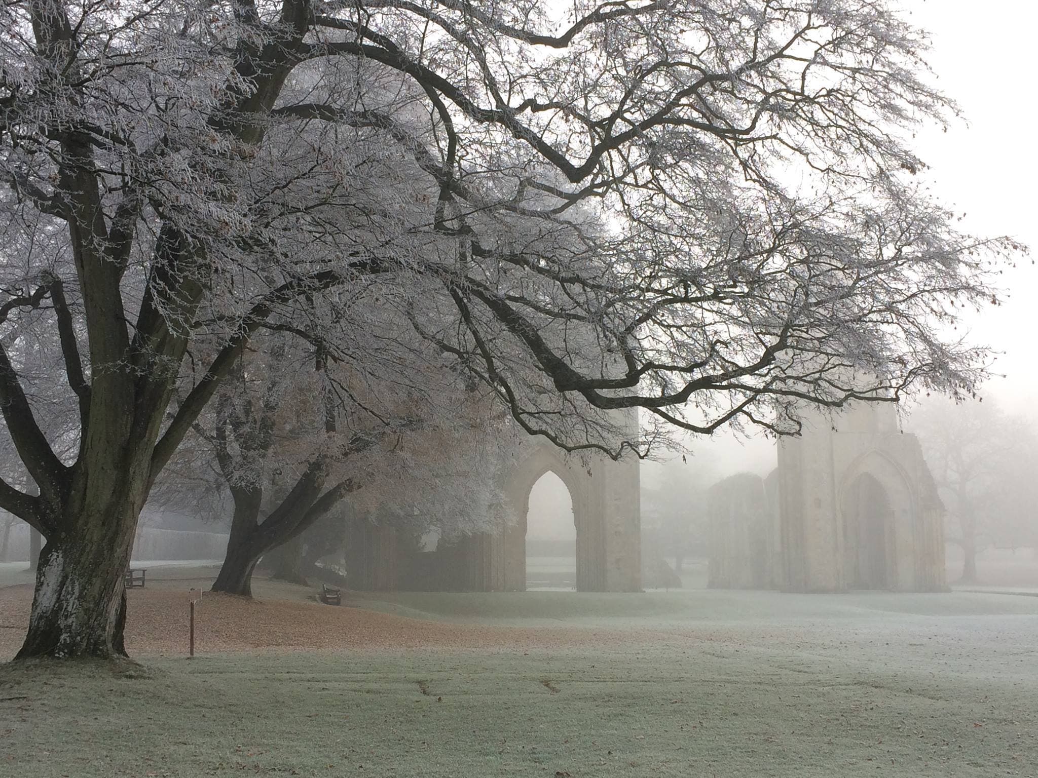 Glastonbury Abbey - Photo 1