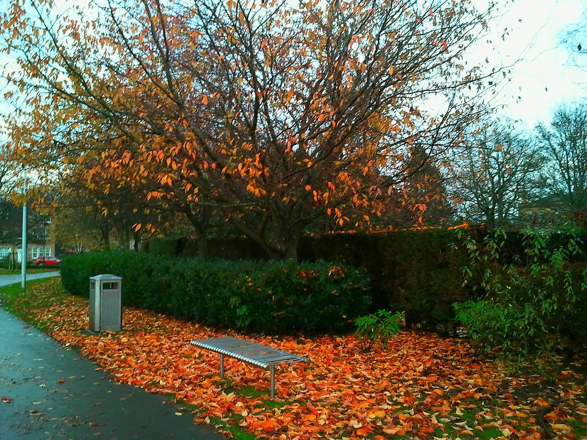 Kings Park - Photo 1