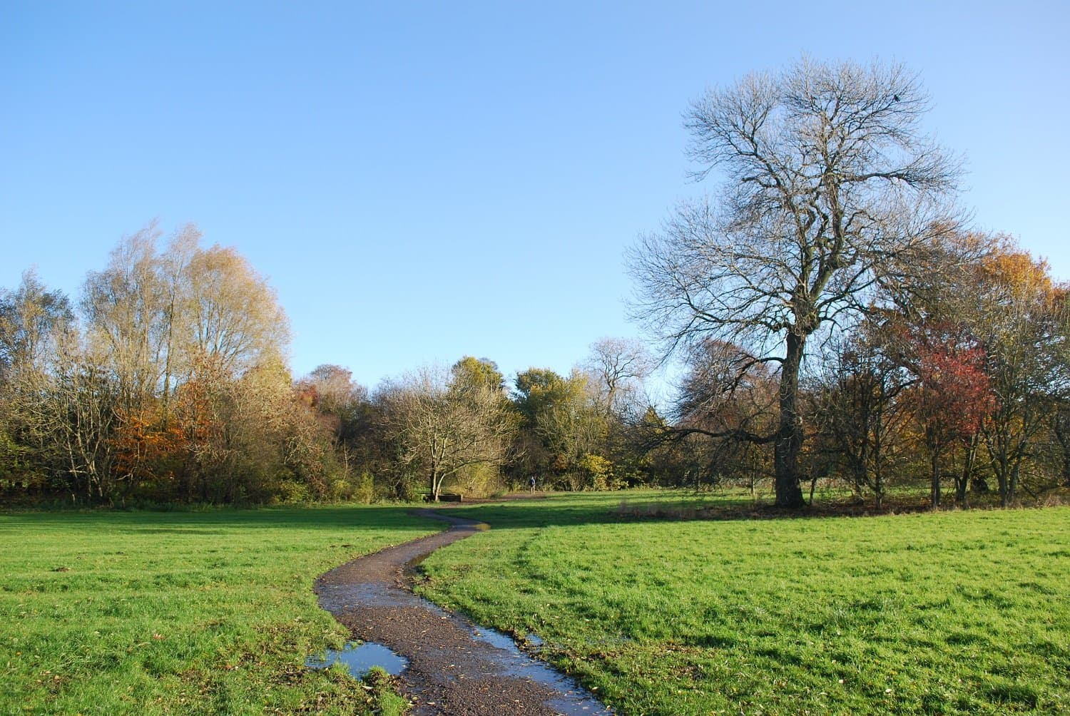 Withy Grove Park