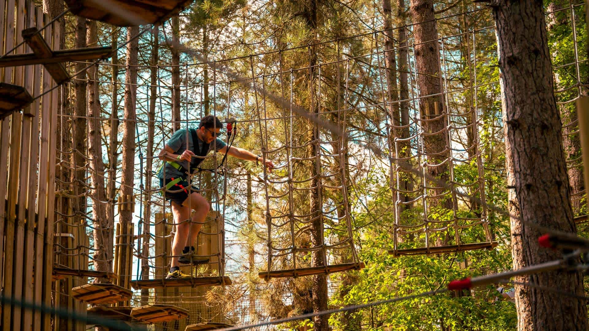 Go Ape Forest of Dean - Photo