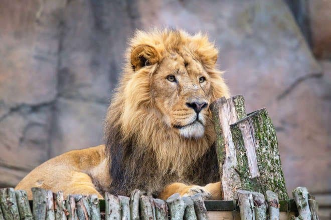 London Zoo - Photo 1