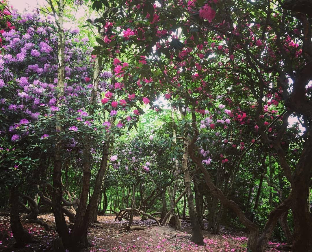 Denham Country Park