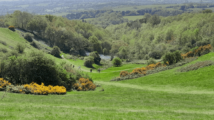 Waseley Hills Country Park