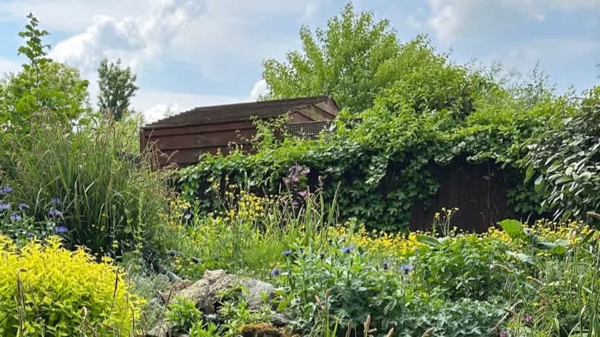 Tiggywinkles Wildlife Hospital Visitor Centre - Photo