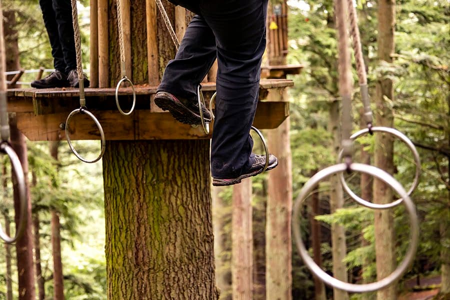Go Ape Glentress Forest, Peebles - Photo