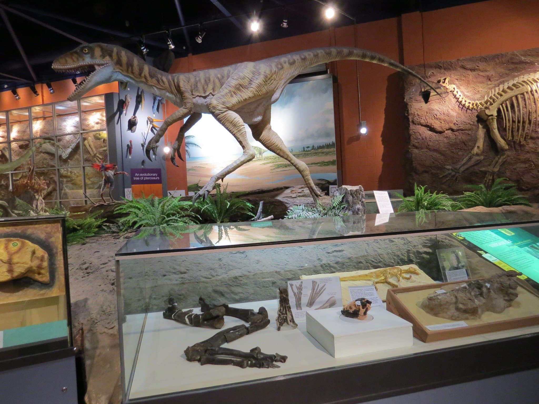 Dinosaur Isle - Photo