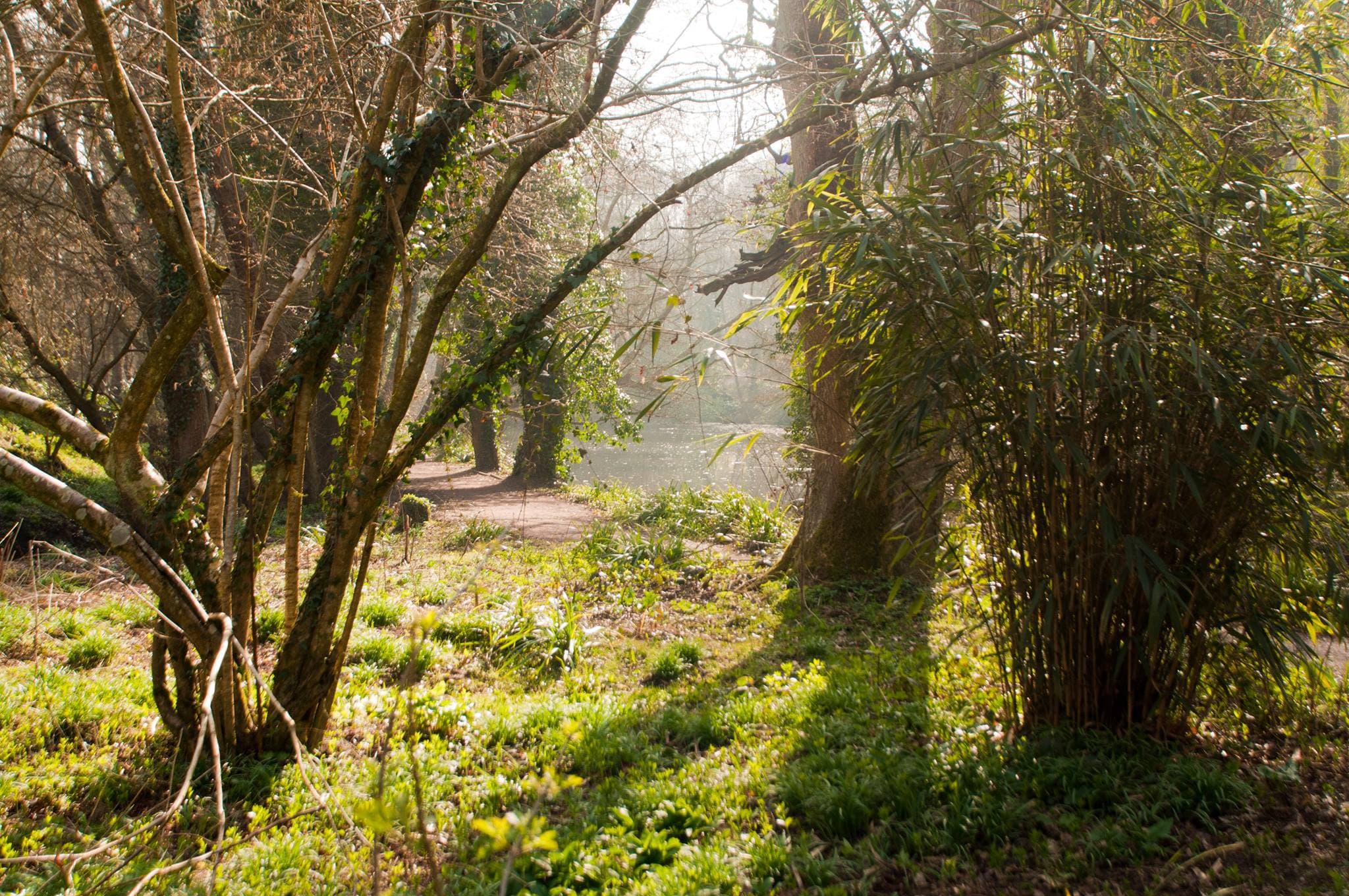 Brockhill Country Park - Photo 1