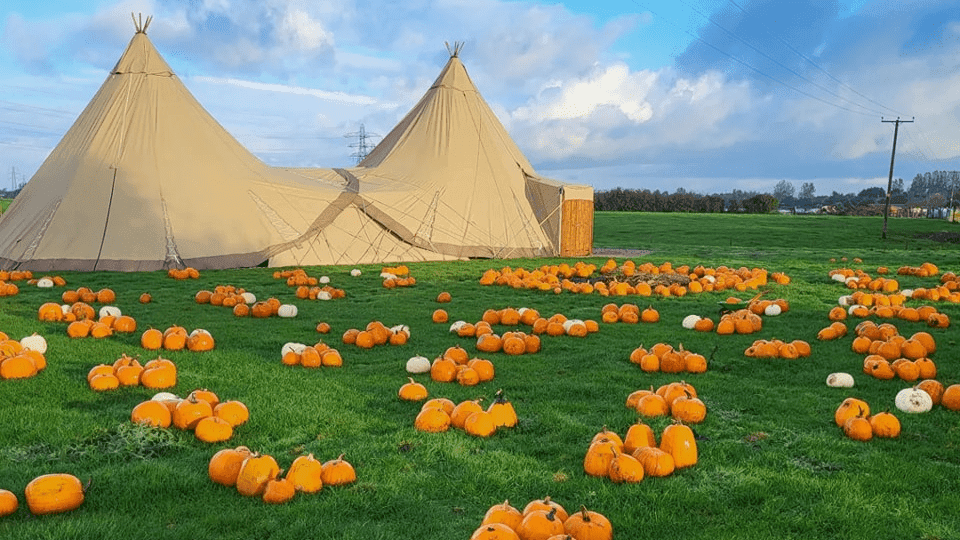 Pumpkin Picking at Ridgeway Farm