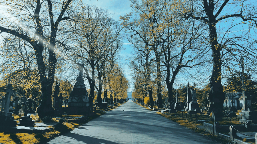 Brompton Cemetery London - Photo