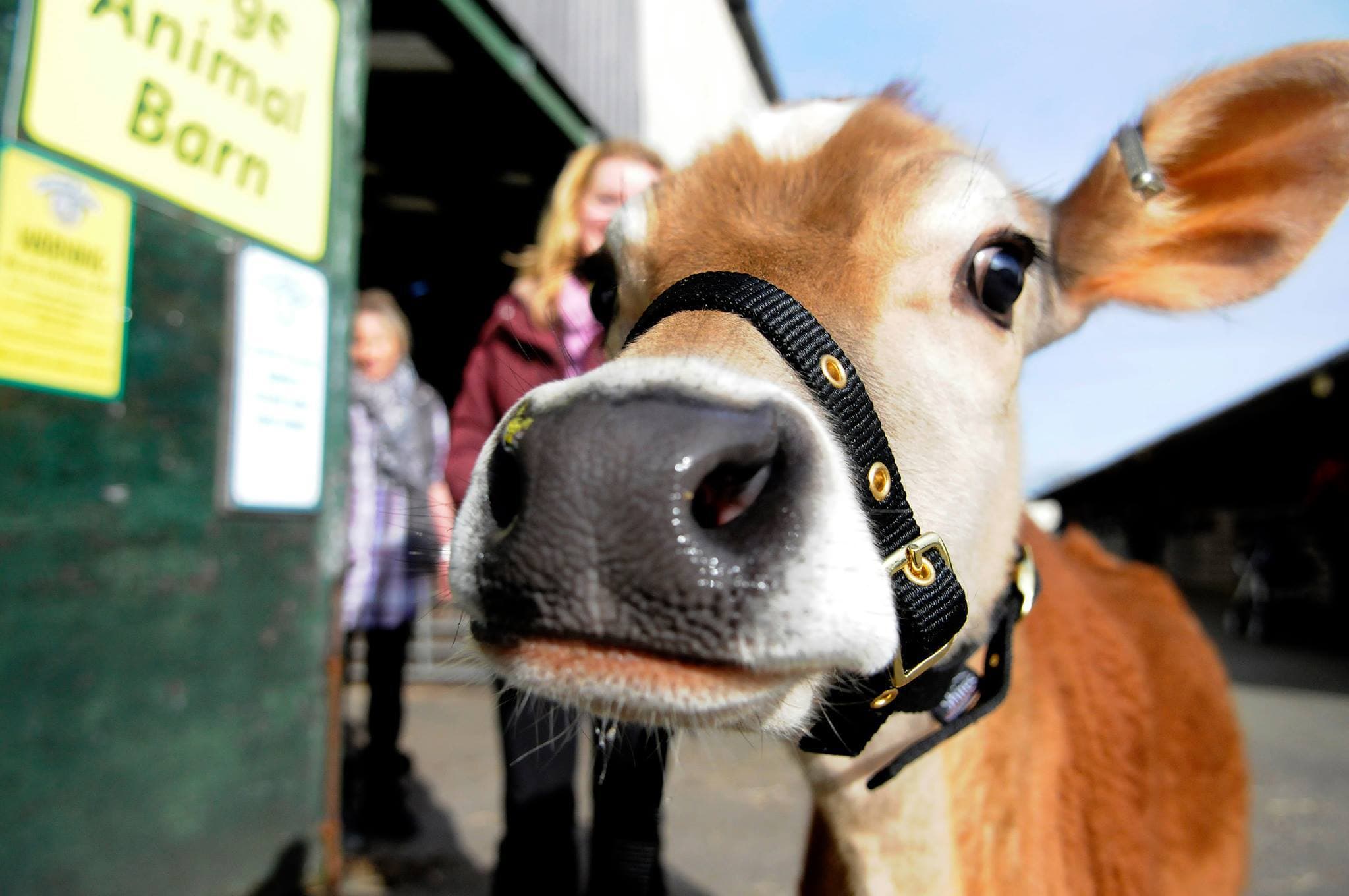 Farmer Parr's Animal World - Photo