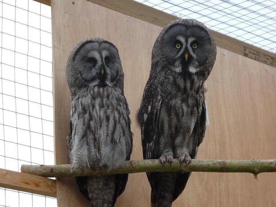Rodbaston Visitor Centre Animal Zone - Photo