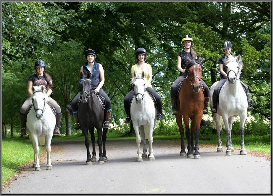 Barbarafield Riding School