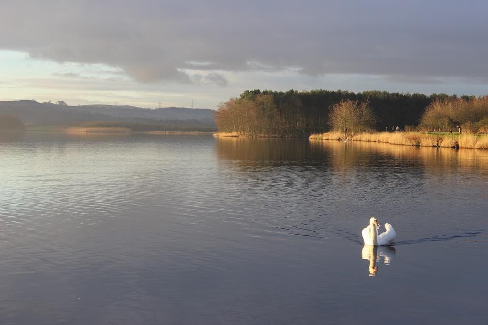 Lochore Meadows Country Park - Photo