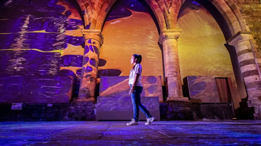 Van Gogh Immersive Experience York